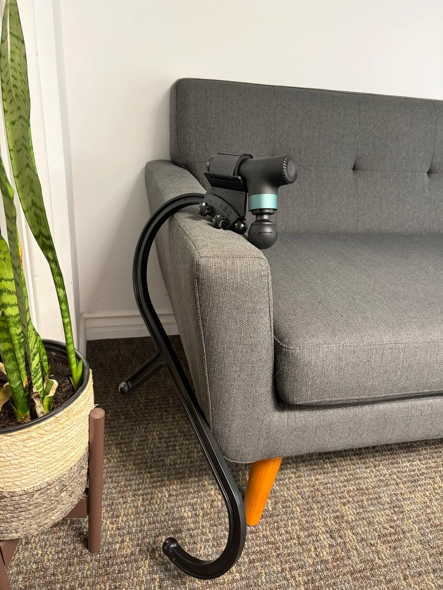 Dorso Cane + Mount