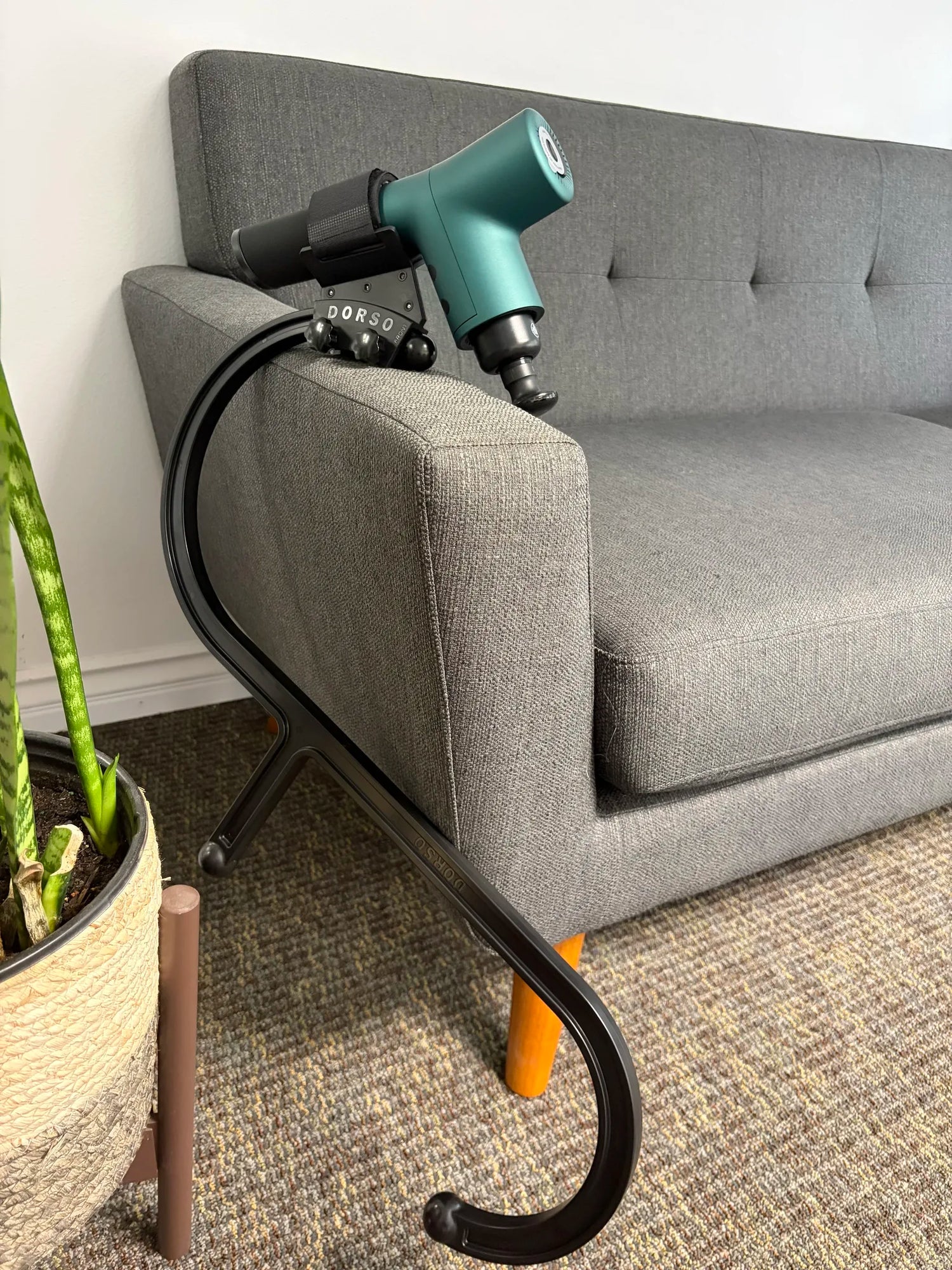 Dorso Cane + Mount