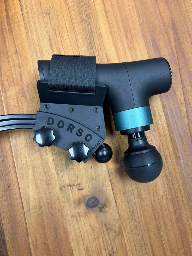 Dorso Cane + Mount